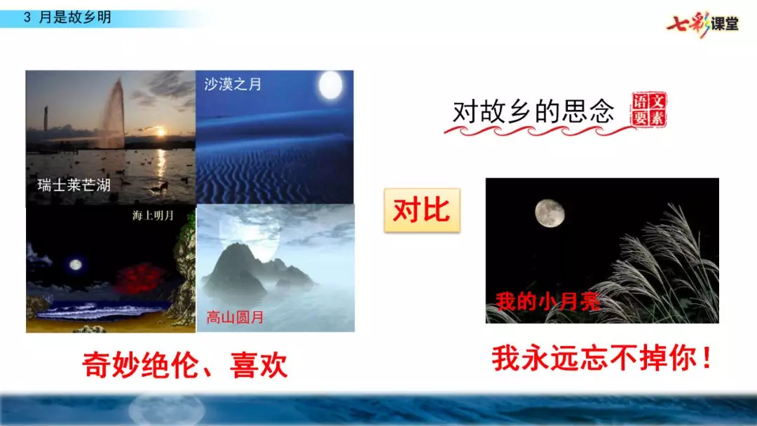 五年级月是故乡明阅读及答案（月是故乡明考题及答案）