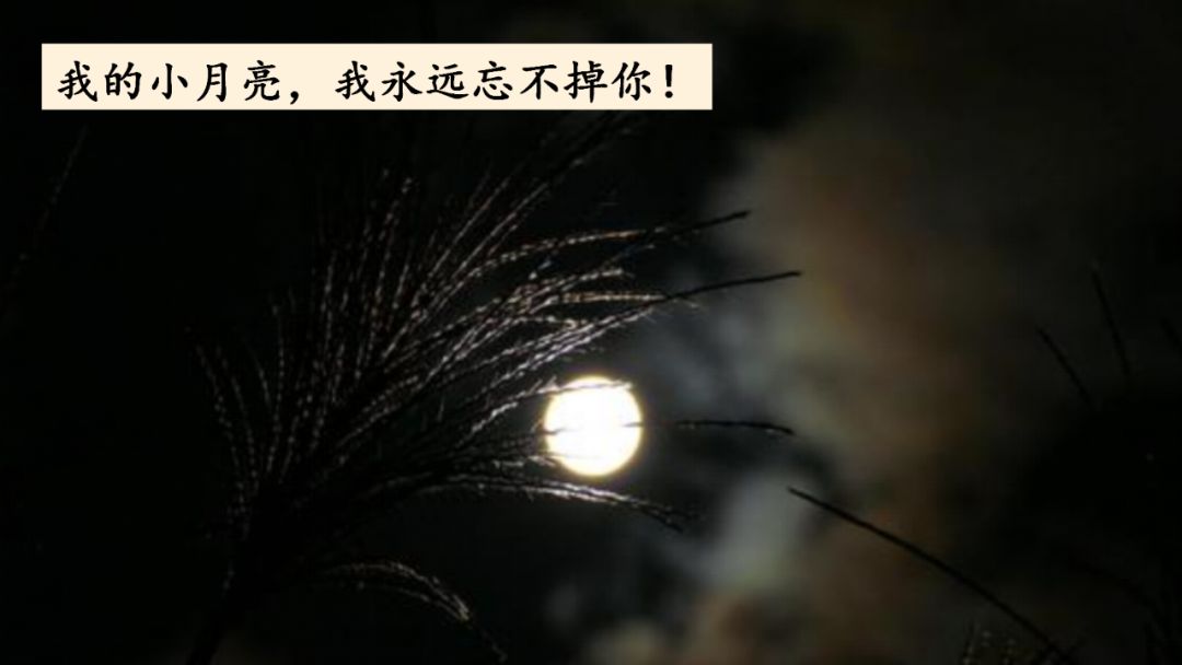 五年级月是故乡明阅读及答案（月是故乡明考题及答案）