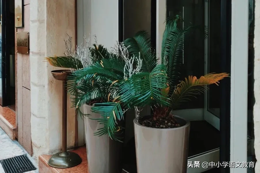 文言文童趣翻译简短（童趣文言文未删减版）