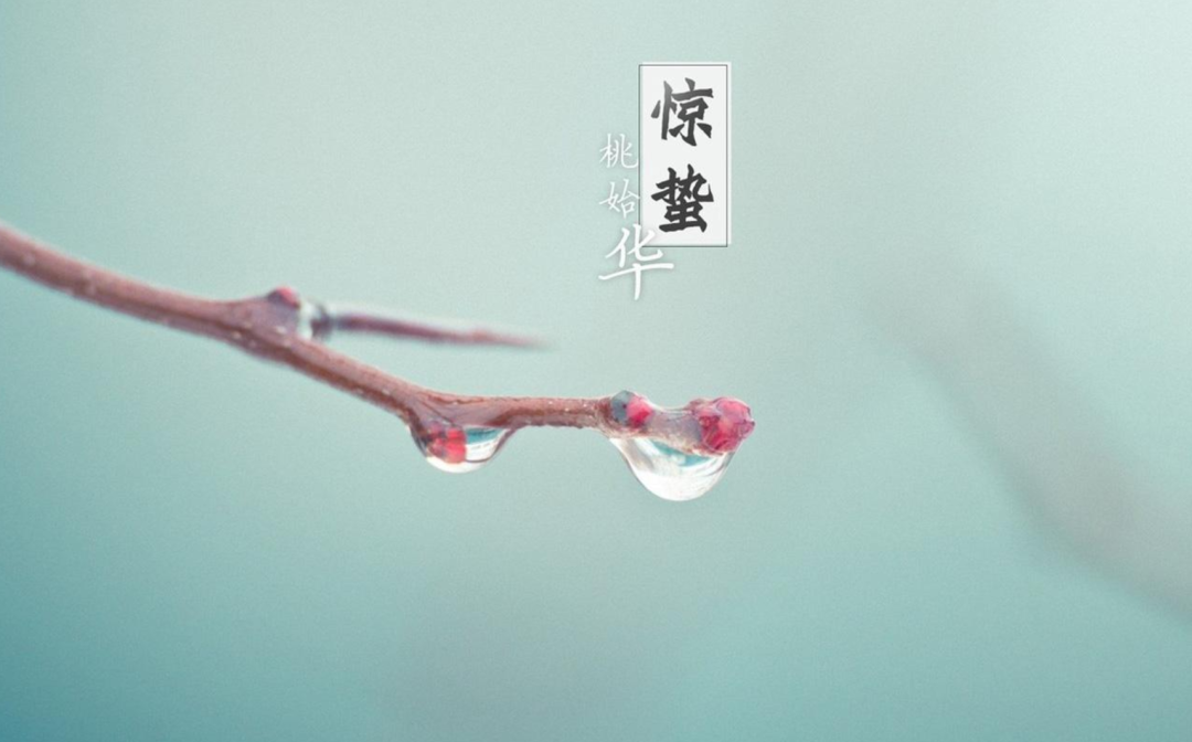 惊蛰古诗有哪几首（有关惊蛰的优美古诗词欣赏）