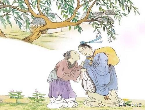 形容母爱的诗句或名言（15句赞美母亲的诗句）