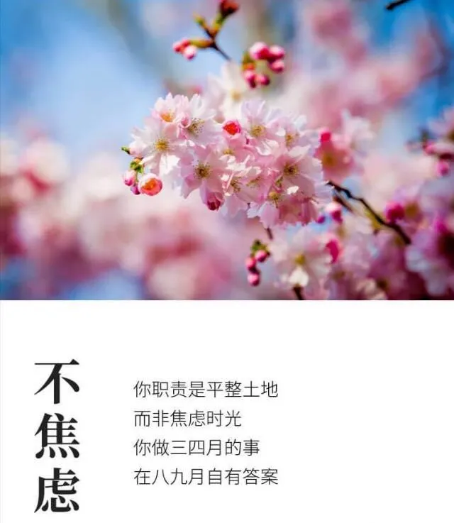 清明祝福语句简短唯美（分享这9条清明祝福语）