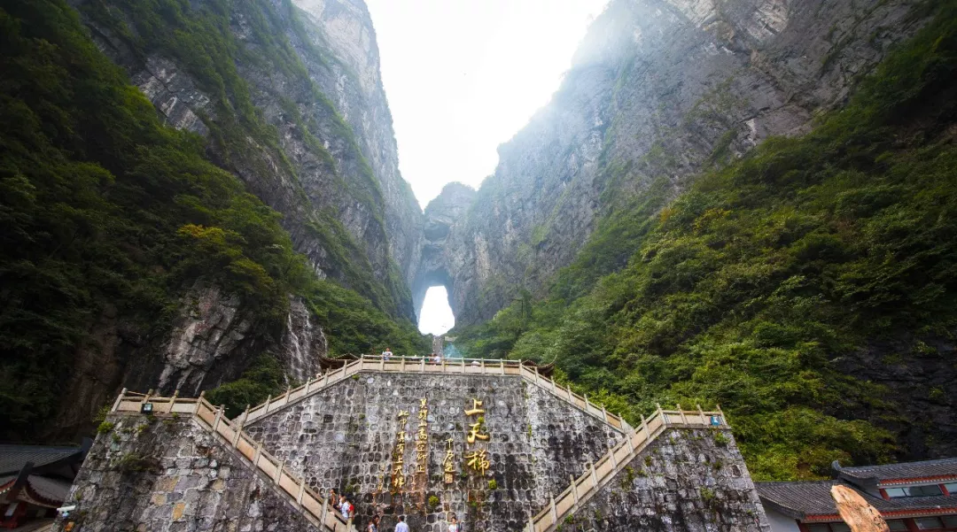 形容风景的诗句（关于大自然美景的诗句）