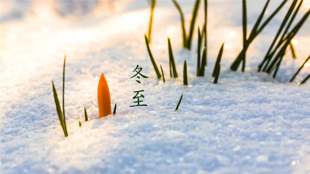 关于冬至的古诗有哪些（有关冬至的诗及配图）