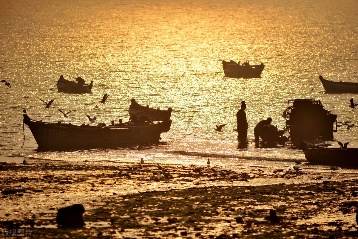 夜到渔家张籍翻译（夜到渔家翻译赏析）