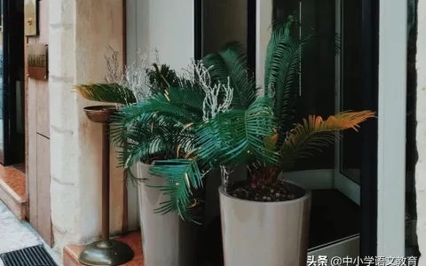 文言文童趣的翻译（童趣文言文全文注释）