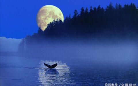 诗经陈风月出赏析（古诗中月的特点）