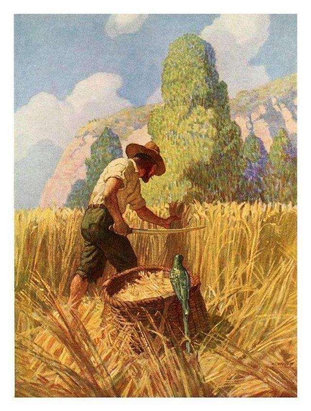 鲁滨逊漂流记好词好句摘抄（鲁滨逊漂流记读书摘抄笔记）