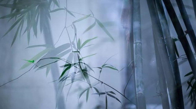 描写竹林的唯美句子（形容竹林意境的诗）
