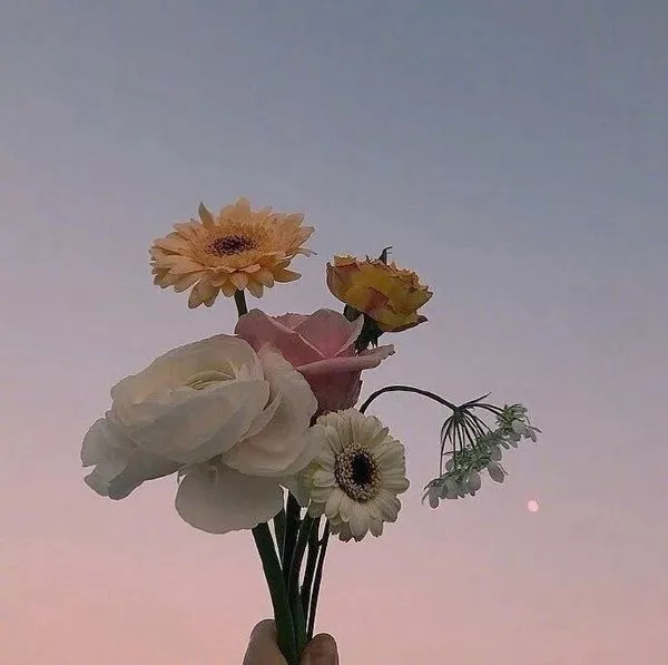 简短正能量签名语句（致自己的经典成长语录）