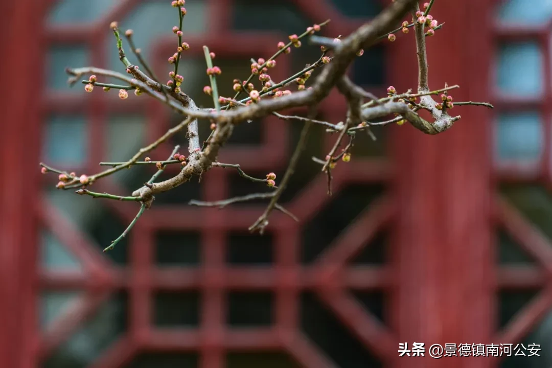 风雨的诗句有哪些（关于风雨的励志诗句）