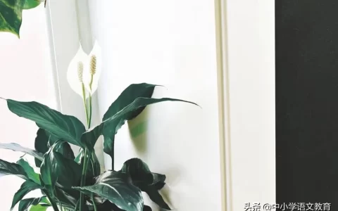 木兰诗原文及翻译注释赏析（木兰诗的意思）