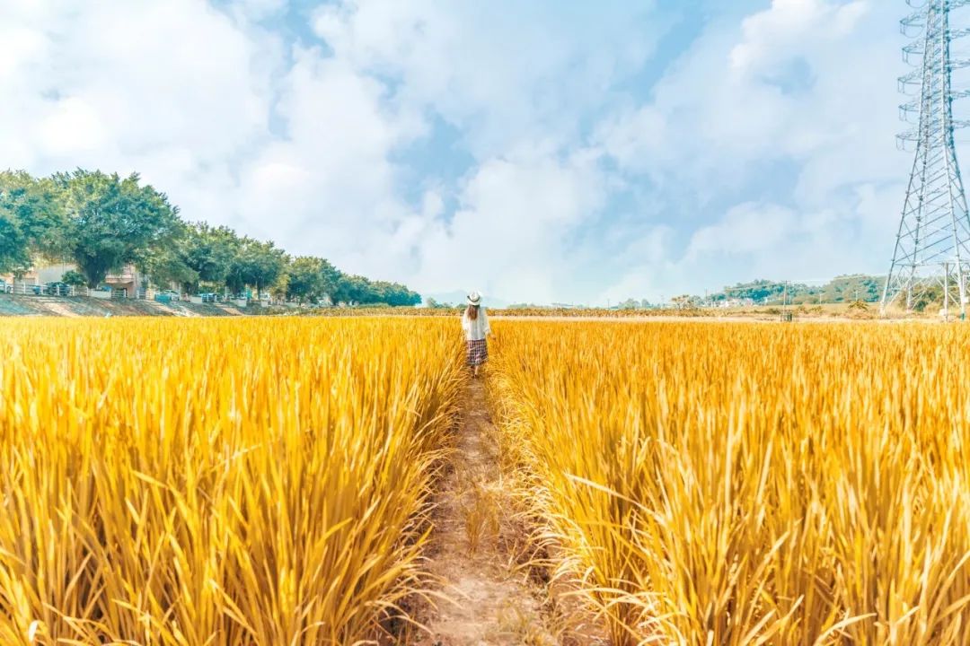 形容年轻人朝气的诗句（形容青年朝气蓬勃句子）