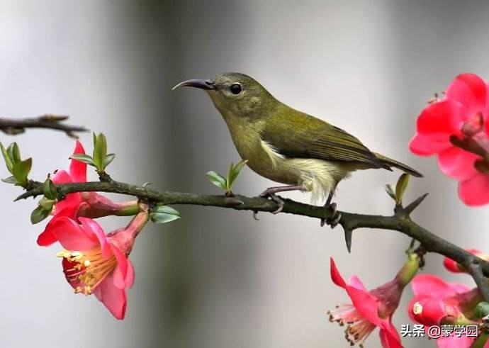 春天的词语四个字（描写春天的词语大全）