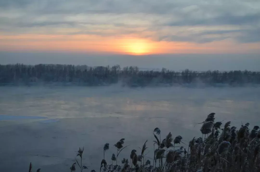 哲理的诗句有哪些（蕴含人生哲理的古诗）