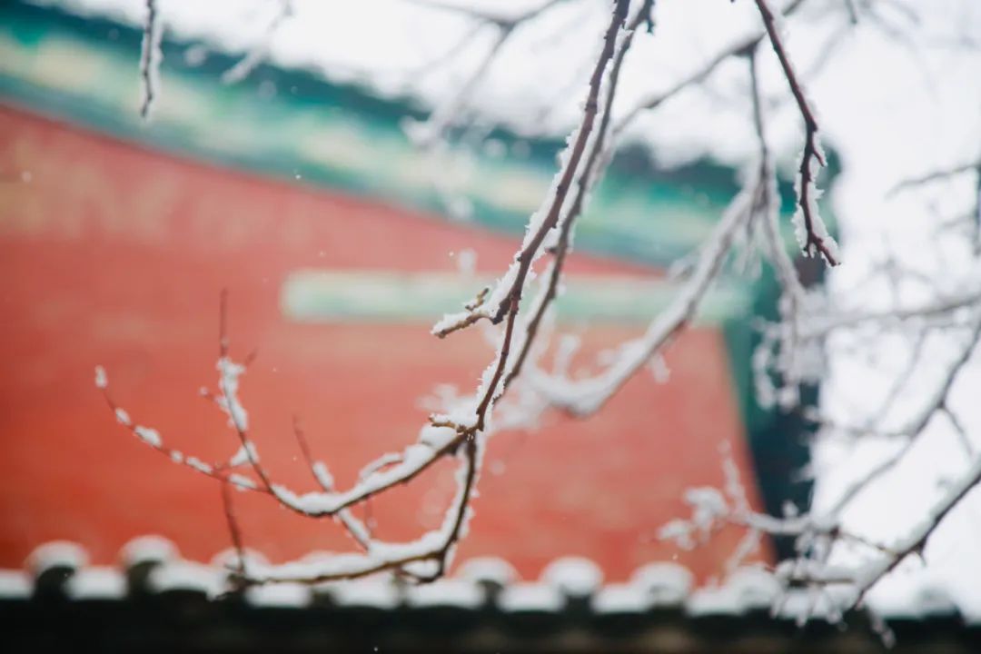雪的诗词名句唯美（带有雪字的古诗词分享）