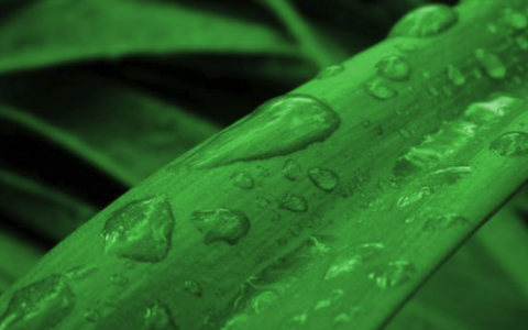 毕业感言一句话10字（唯美简短的毕业留言）