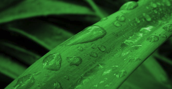 毕业感言一句话10字（唯美简短的毕业留言）