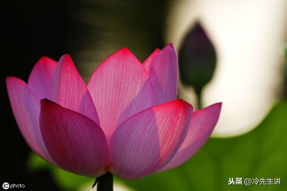 表示颜色的词语有哪些（关于四个字表示颜色的词语）