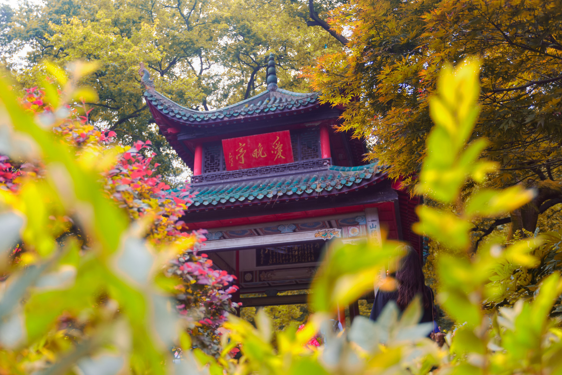 描写春景古诗有哪些（描写春天景色的诗句佳句）
