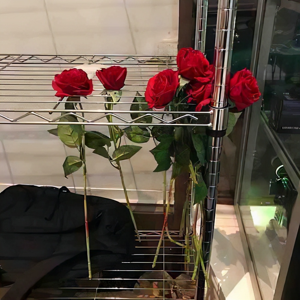 适合所有情绪的句子（句句深入人心的经典句子）