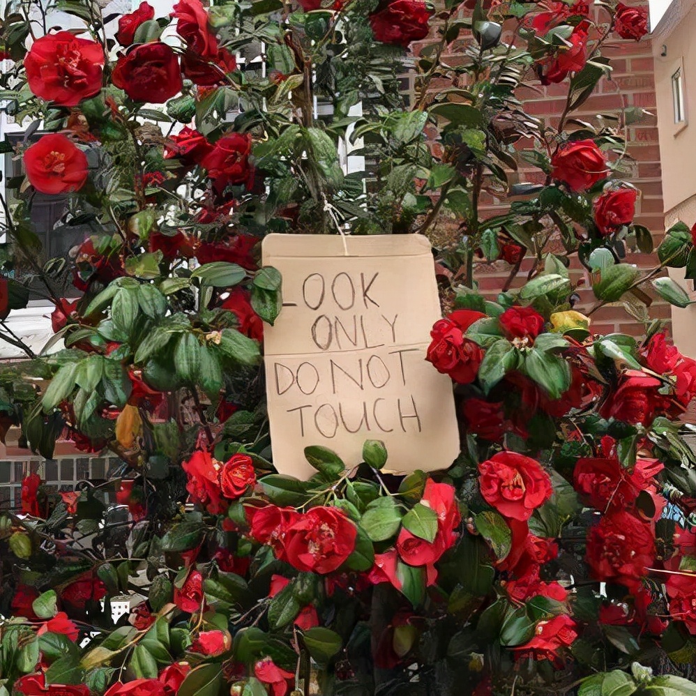 适合所有情绪的句子（句句深入人心的经典句子）