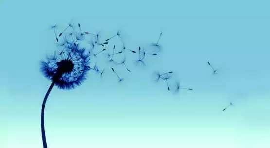 描写风古诗有哪些（关于写风的古诗欣赏）