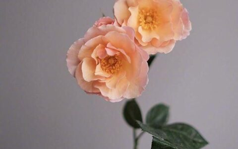 生活名言名句经典（励志人生格言经典短句）