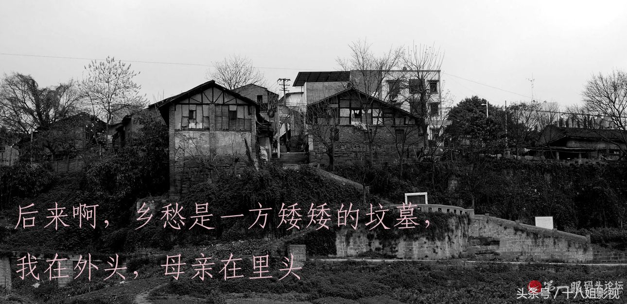 余光中最著名的诗歌有哪些（余光中的短篇现代诗）