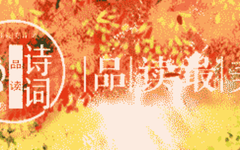 经典诗句赏析（经典诗词内容及赏析）