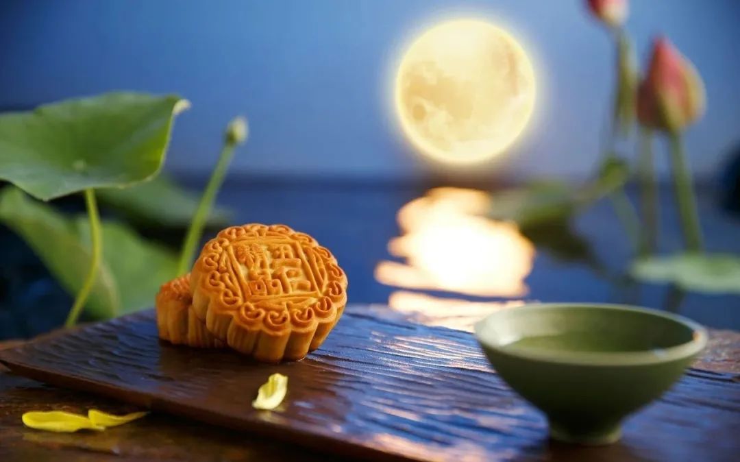 我的思念是圆的赏析（我的思念是圆的主要内容）