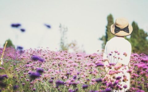 青春的诗句或名言（赞美青春奋斗的古诗词）