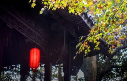 诗中有酒的诗句（关于喝酒的优美诗句）
