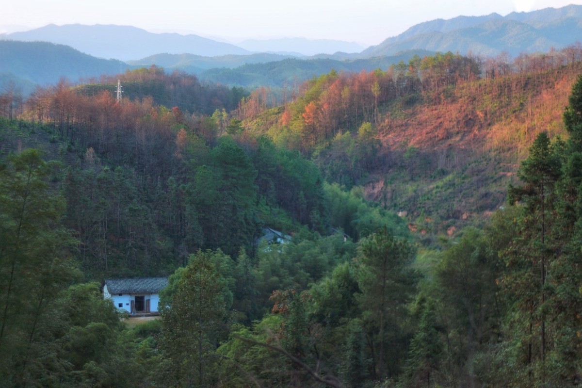 游山西村的翻译和赏析（游山西村全文阅读）