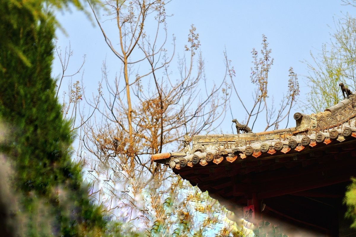 游山西村的翻译和赏析（游山西村全文阅读）