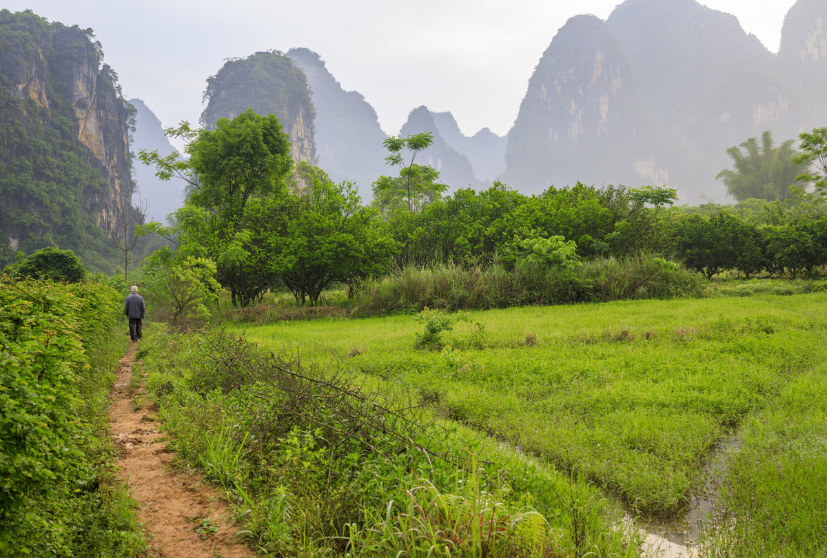 游山西村的翻译和赏析（游山西村全文阅读）