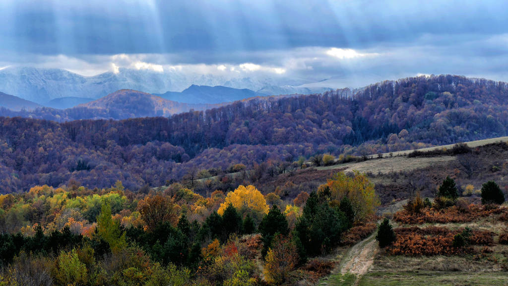 游山西村的翻译和赏析（游山西村全文阅读）