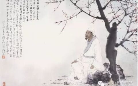 闻乐天左降江州司马赏析（闻乐天左降江州司马原文及翻译）