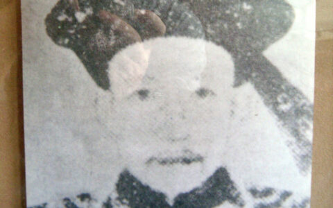 和珅的生平简介（关于和珅故事概述）