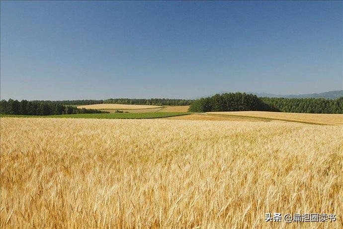 忙的情景描写句子（描写忙碌的情景的一段话）