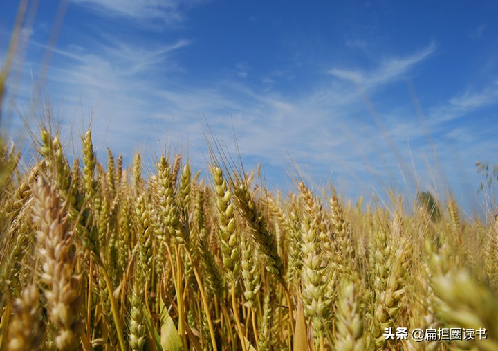 忙的情景描写句子（描写忙碌的情景的一段话）