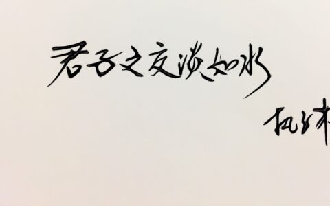 致友情的句子简短（友情永存的句子推荐）