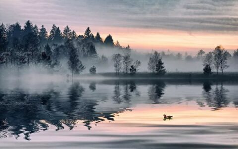 描写送别的古诗有哪些（最知名的40首送别诗词赏析）