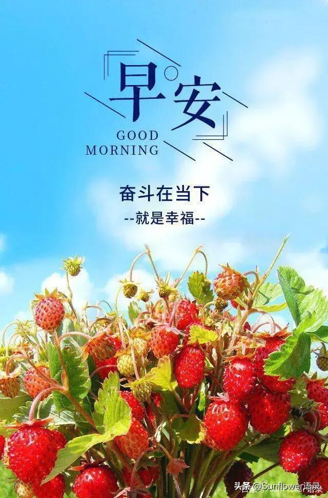 努力工作正能量的句子（工作励志名言短句激励）