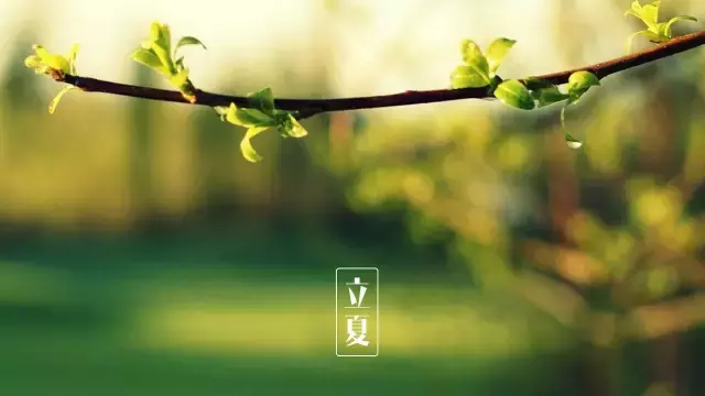 立夏诗词大全赏析（关于的立夏的经典古诗）