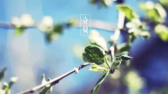 立夏诗词大全赏析（关于的立夏的经典古诗）
