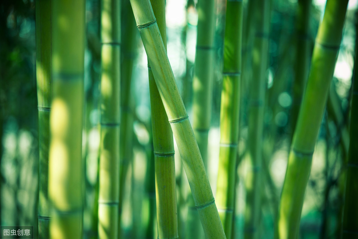 形容夏季的诗句唯美（形容夏天炎热的诗句）