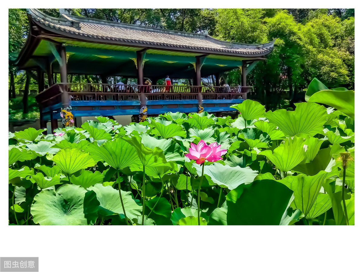 形容夏季的诗句唯美（形容夏天炎热的诗句）
