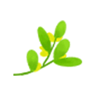 带春字的成语有哪些（描写春天的成语）