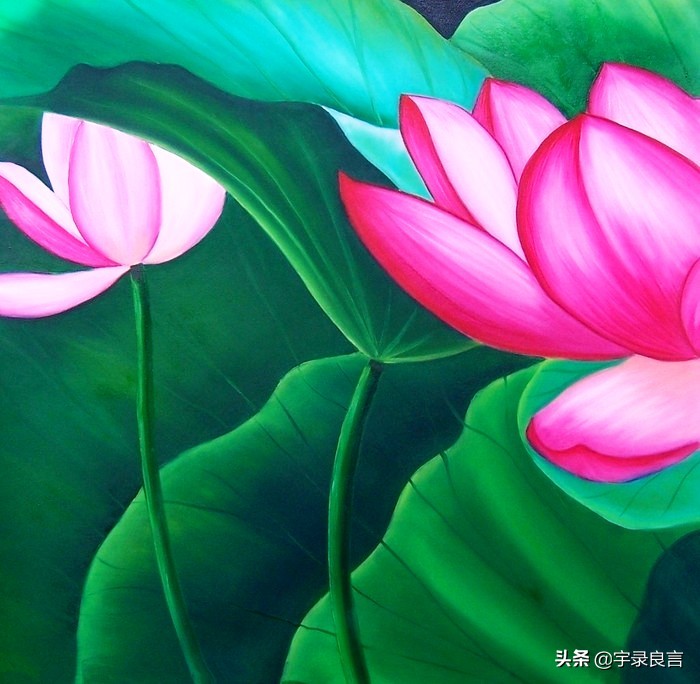 顺其自然随遇而安的唯美句子（随心所欲随遇而安的句子）